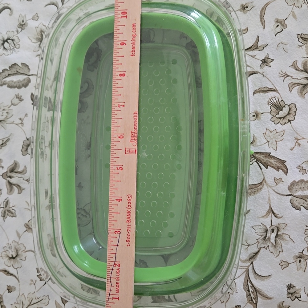 Progressive Green Plastic Vegtable Storage Container - Picture 8 of 8